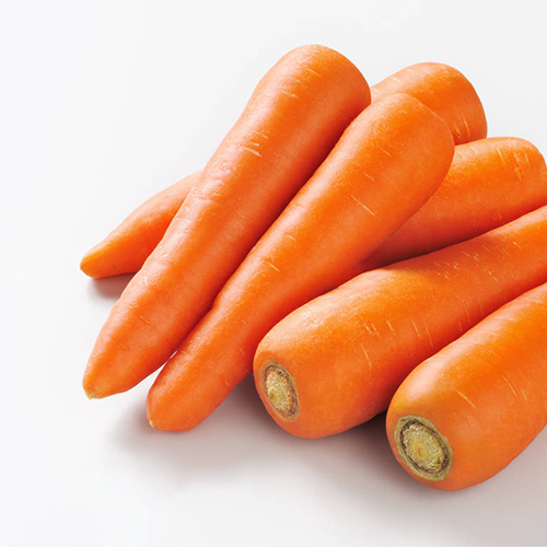 carrot19