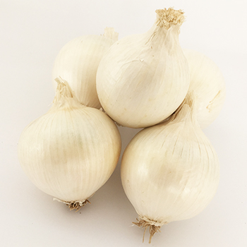 202onion