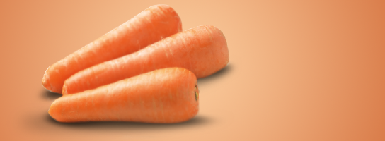 carrot