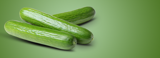 cucumber