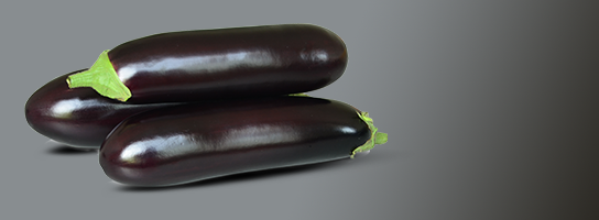 eggplant