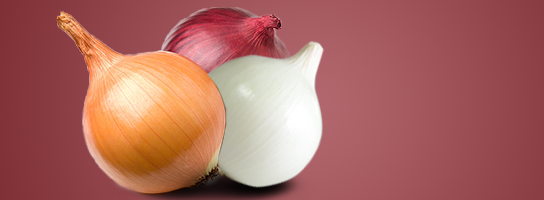 onion